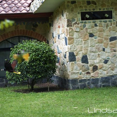نويفو أرينال Gingerbread Restaurant & Hotel المظهر الخارجي الصورة