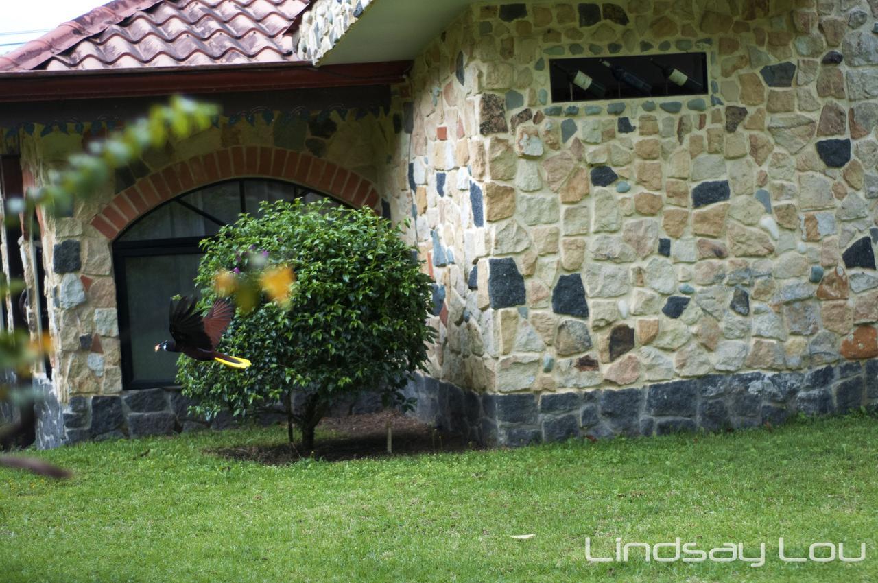نويفو أرينال Gingerbread Restaurant & Hotel المظهر الخارجي الصورة